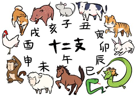 数字寓意 生肖時辰